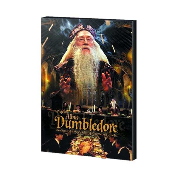 Harry Potter Dumbledore Canvas Print (50cm x 40cm)