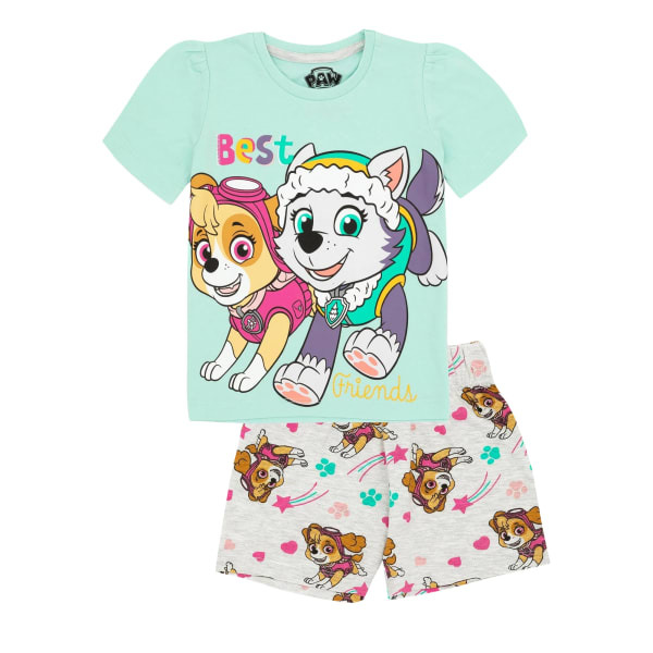 Paw Patrol Kids Skye & Everest Short Pyjama Set (2-3 Years)