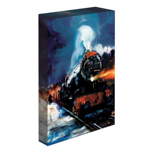 Harry Potter Hogwarts Express Light Up Canvas (40cm x 30cm)