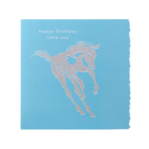 Deckled Edge Colour Block Pony Card