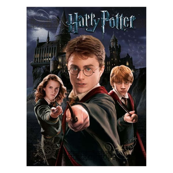 Harry Potter Canvas Print (40cm x 50cm)