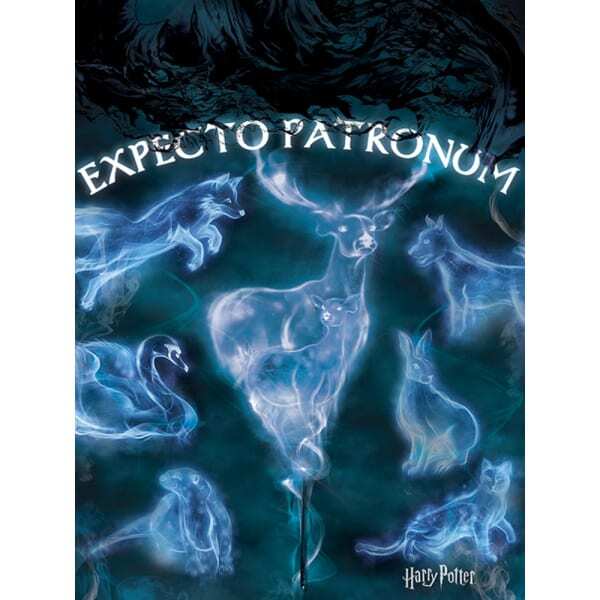 Harry Potter Expecto Patronum Canvas Print (80cm x 60cm)