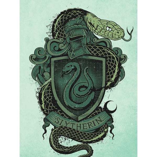 Harry Potter Slytherin Canvas Print (80cm x 60cm)