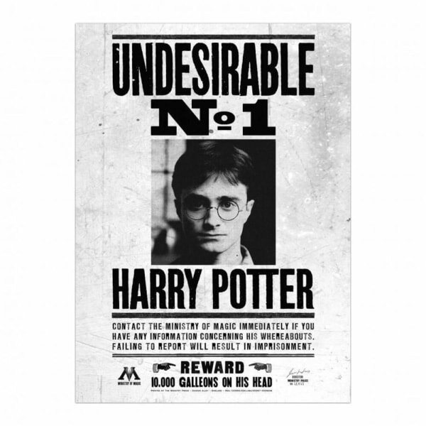 Harry Potter Undesirable No.1 Framed Canvas (40cm x 30cm)