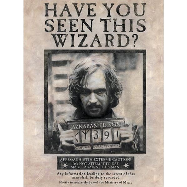 Harry Potter Wanted Sirius Black Canvas Print (40cm x 30cm)