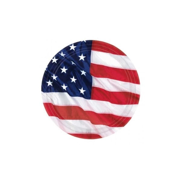 Amscan Paper American Flag Disposable Plates (Pack of 10)