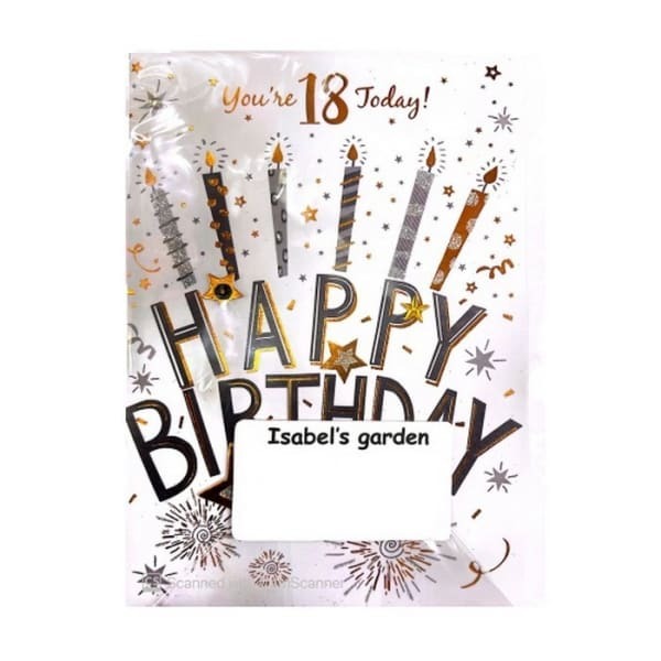 Simon Elvin You Are 18th Today Birthday Card (Pack of 6)