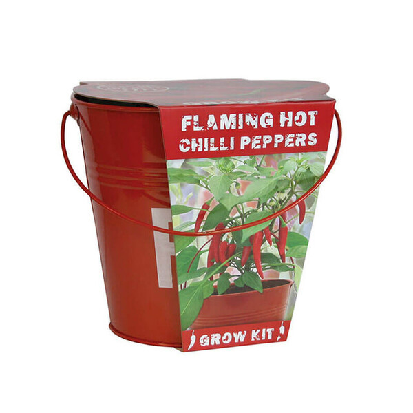 Prezzybox Chilli Fire Bucket Grow Kit