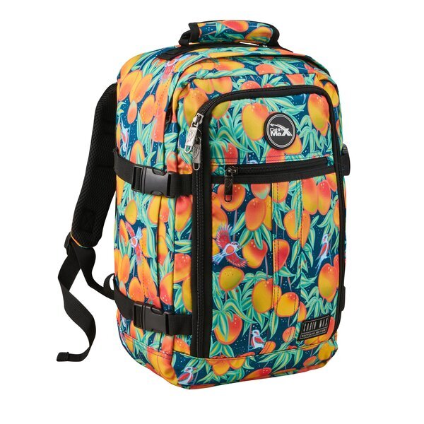 Cabin Max 20L Metz Backpack 40x20x25cm