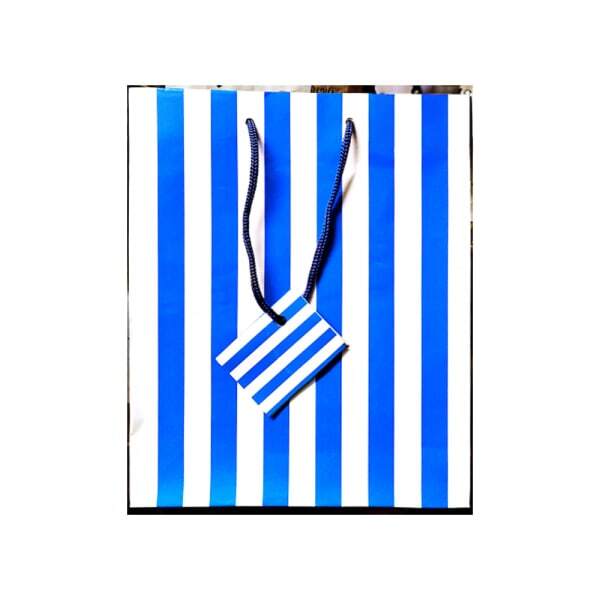 Unique Party Stripe Gift Bag