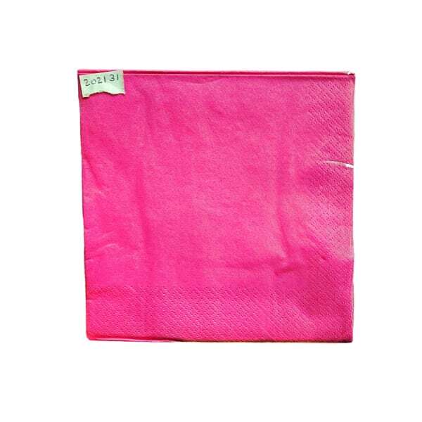 2 Ply Disposable Napkins (Pack of 24)