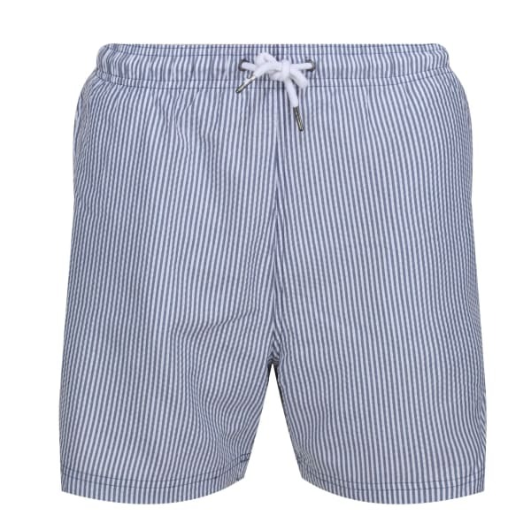 Regatta Mens Loras Stripe Swim Shorts (XL)