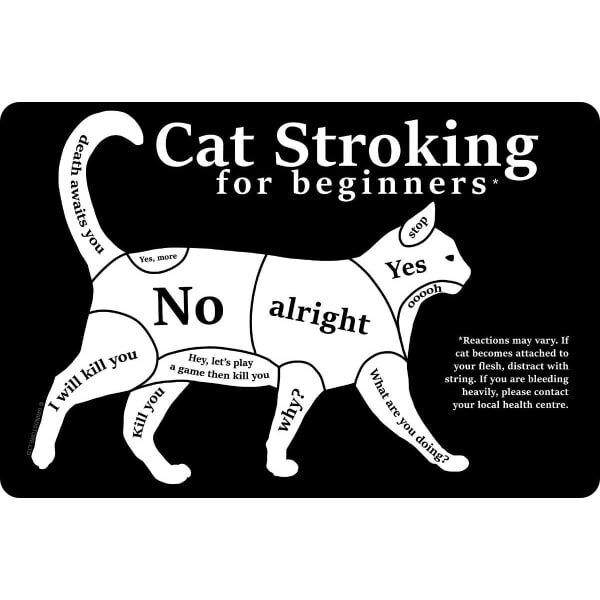 Grindstore Cat Stroking For Beginners Plaque