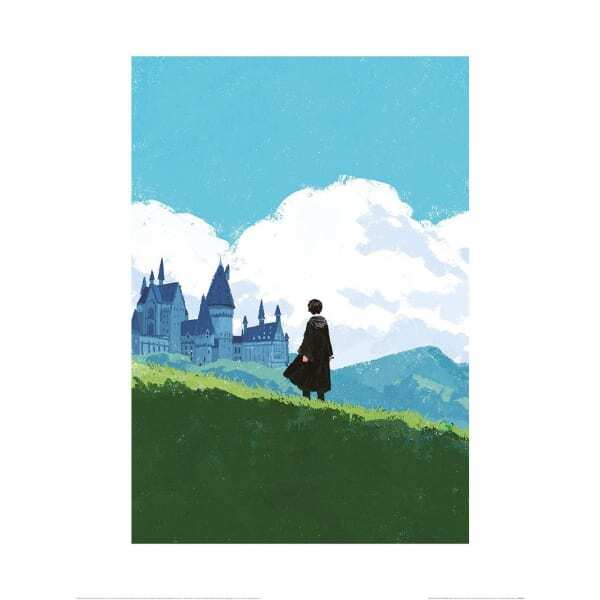 Harry Potter Harry Print (80cm x 60cm)