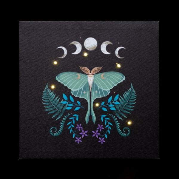 Something Different Canvas Luna Moth Light Up Canvas