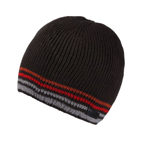 Regatta Mens Balton IV Striped Beanie