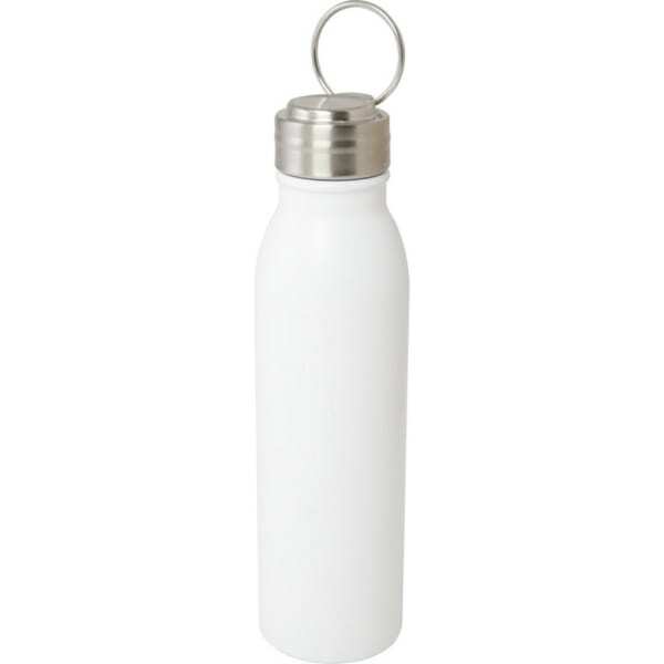 Harper Stainless Steel 700ml Water Bottle