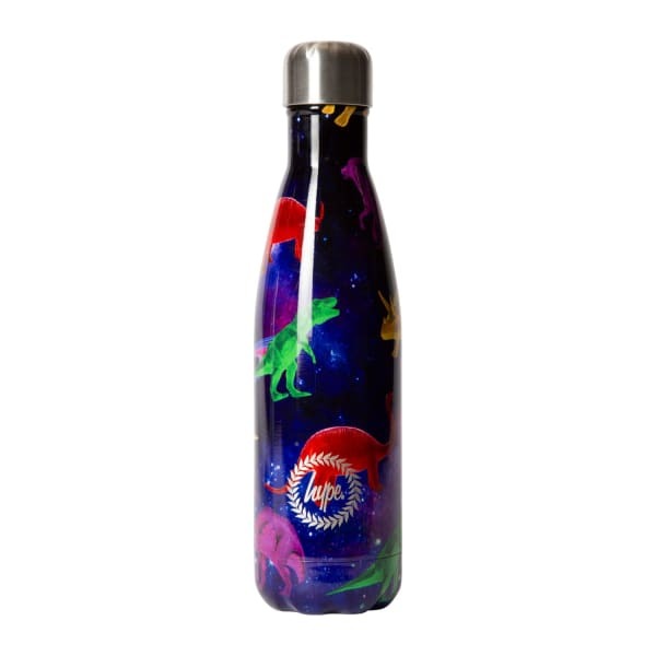 Hype Space Dinosaurs Water Bottle