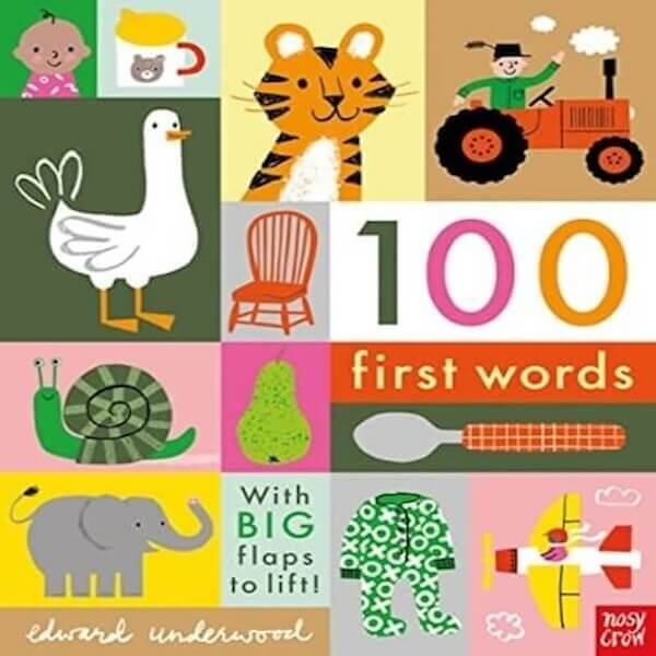 Nosy Crow 100 First Words - Board Books