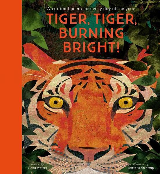 Nosy Crow National Trust: Tiger Tiger Animal Poem- Hardback