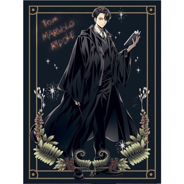 Harry Potter Tom Marvolo Riddle Print (40cm x 30cm)