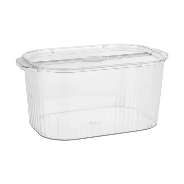 Livingandhome Clear Plastic Container Storage Box