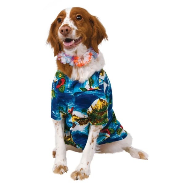 Bristol Novelty Luau Dog Costume (S)