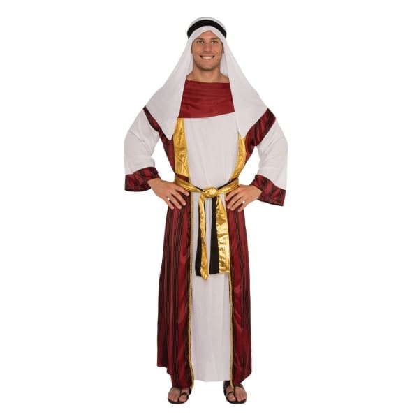 Bristol Novelty Mens Desert Prince Costume (Standard)