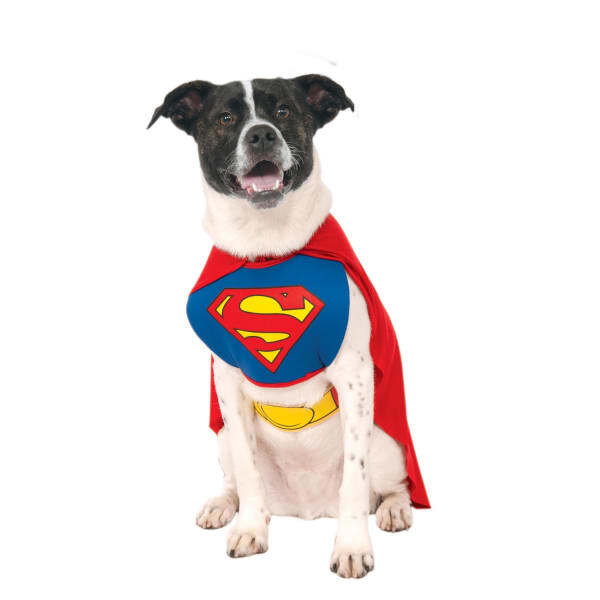 Superman Dog Costume (L-51cm-56cm)