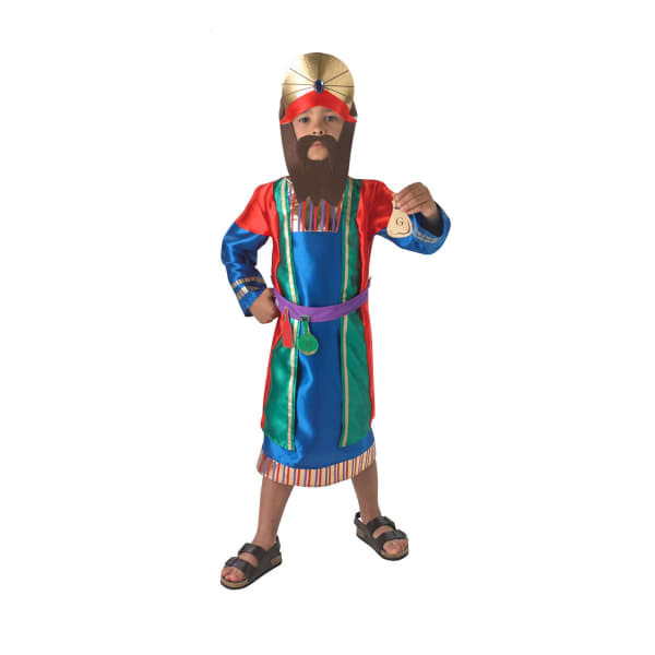 Bristol Novelty Boys Wise Man Costume (L)