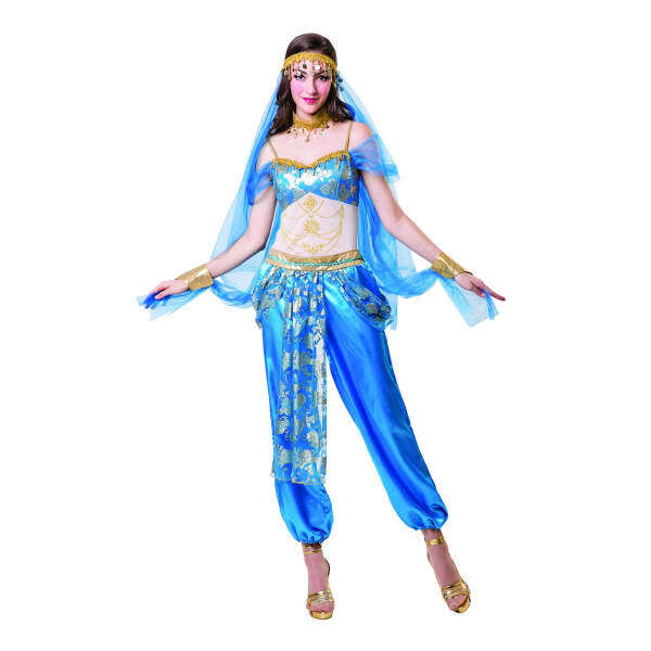 Bristol Novelty Womens Harem Dancer Costume