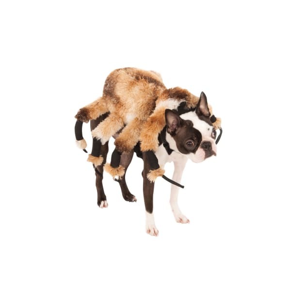 Bristol Novelty Spider Dog Costume (XL)