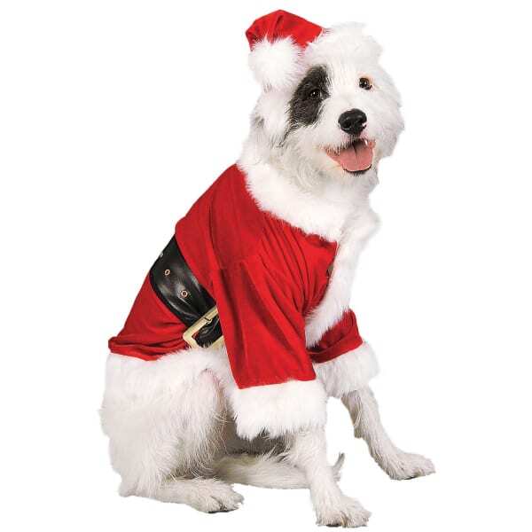 Bristol Novelty Santa Claus Dog Costume (M)