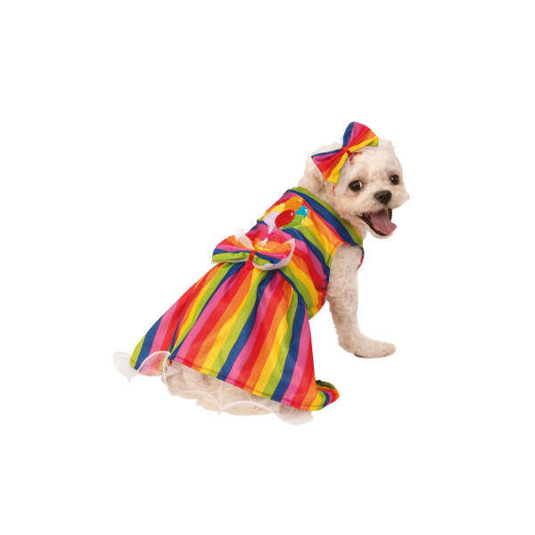 Bristol Novelty Rainbow Dog Costume (M)