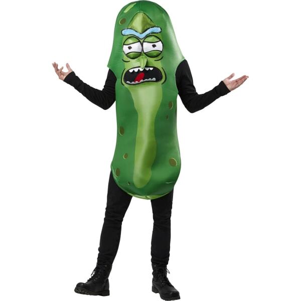 Rick And Morty Adult Pickle Rick Costume (Standard)