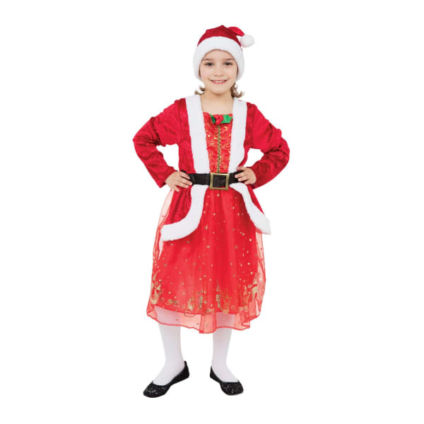 Bristol Novelty rens/Girls Santa Costume (M)