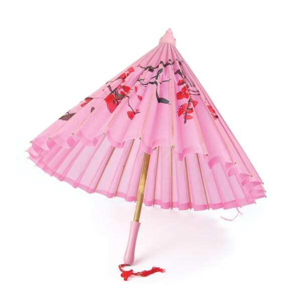 Bristol Novelty Silk Parasol With Wooden Handle