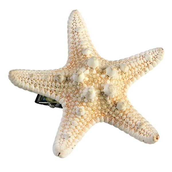 Bristol Novelty Mermaid Starfish Hair Clip