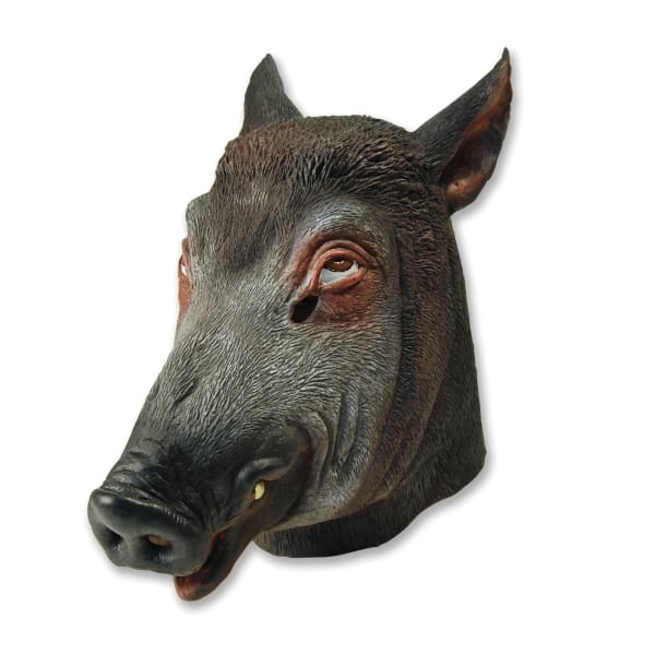 Bristol Novelty Boar Mask