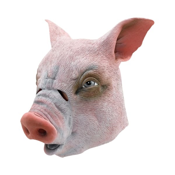 Bristol Novelty Unisex Pig Rubber Head Mask