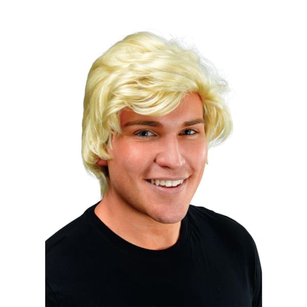 Bristol Novelty Mens Side Parting Wig