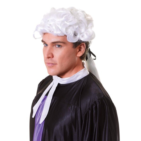 Bristol Novelty Adults Court Wig