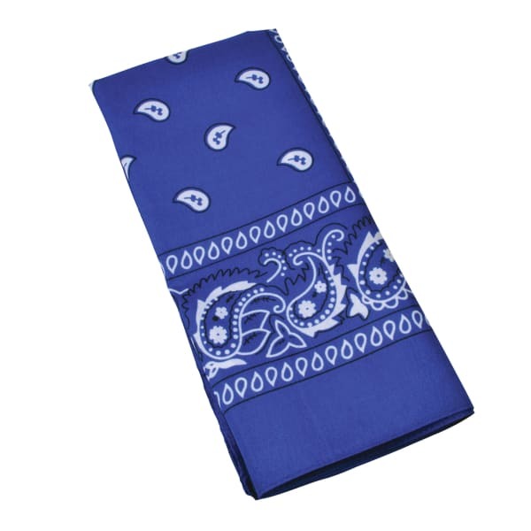 Bristol Novelty Cowboy Bandana