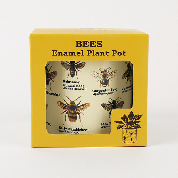 Prezzybox Ecologie Bees Plant Pot