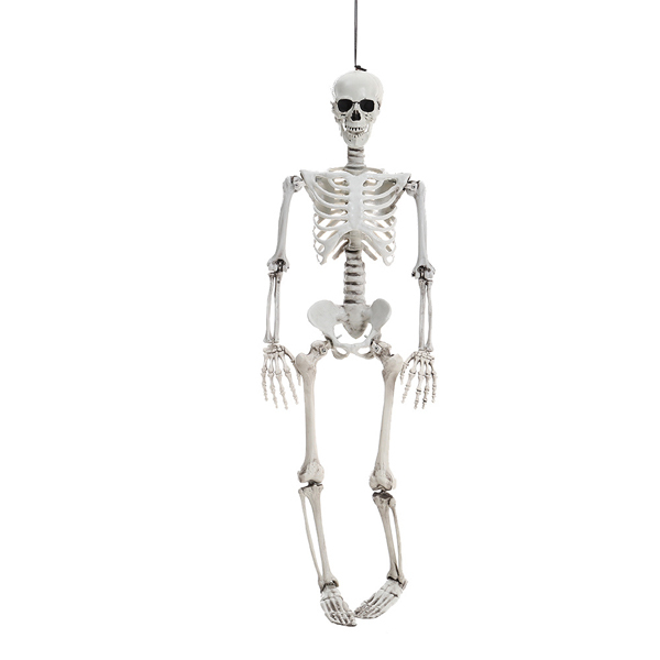 Livingandhome Halloween Full Body Skeleton Prop Decoration