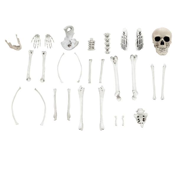 Livingandhome 28 Pcs Halloween Skeleton Decoration Kit