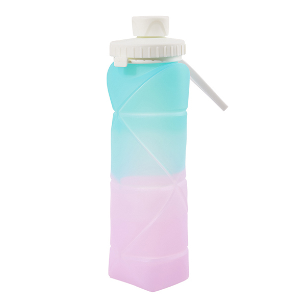 Livingandhome Collapsible Water Bottle - Blue and Purple