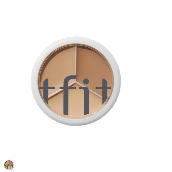 TFIT Cover Up Pro Concealer #01 NEUTRAL