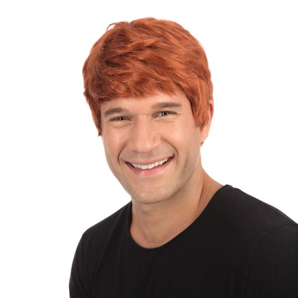 Bristol Novelty Mens Short Wig