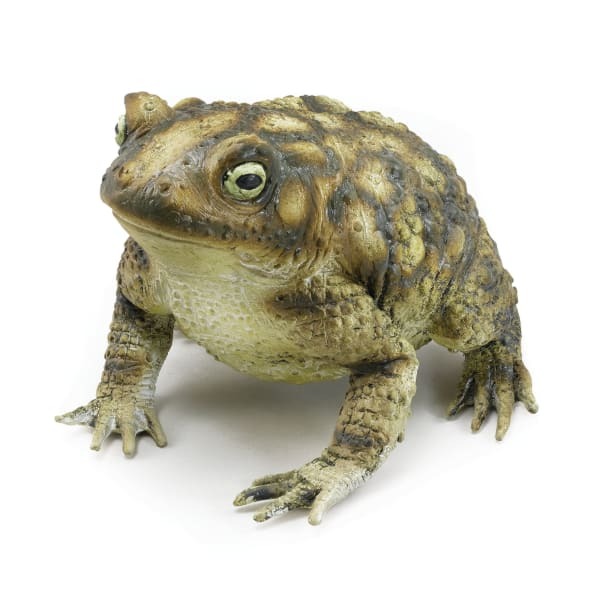 Bristol Novelty Rubber Toad